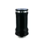 Cabin Air Spring for Kenworth Replaces 1102-0074, W02-358-7064