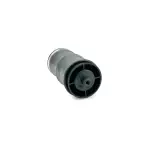 Cabin Air Spring Replaces 520365009, W02-358-7059