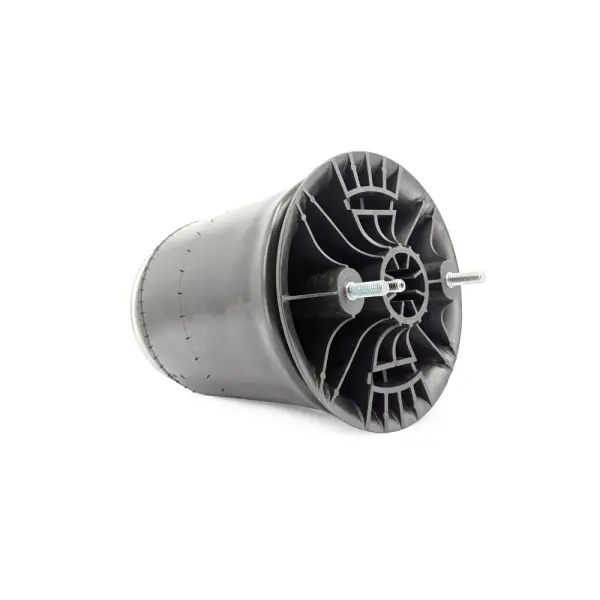 Air Spring, W01-358-9865 67043002 23563385
